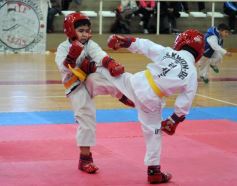 Foto de la galería: Taekwondo: los niños coparon el CePARD