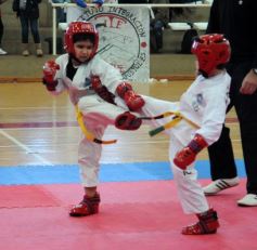 Foto de la galería: Taekwondo: los niños coparon el CePARD