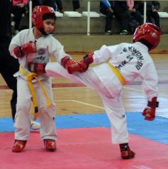 Foto de la galería: Taekwondo: los niños coparon el CePARD