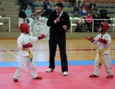 Foto de la galería: Taekwondo: los niños coparon el CePARD