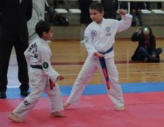 Foto de la galería: Taekwondo: los niños coparon el CePARD
