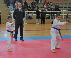 Foto de la galería: Taekwondo: los niños coparon el CePARD