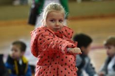 Foto de la galería: Taekwondo: los niños coparon el CePARD