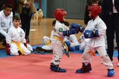 Foto de la galería: Taekwondo: los niños coparon el CePARD