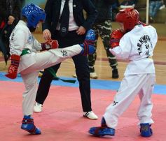 Foto de la galería: Taekwondo: los niños coparon el CePARD