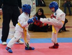 Foto de la galería: Taekwondo: los niños coparon el CePARD