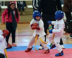 Foto de la galería: Taekwondo: los niños coparon el CePARD