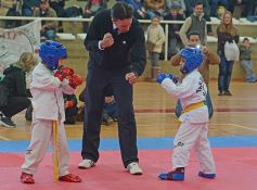 Foto de la galería: Taekwondo: los niños coparon el CePARD