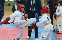 Foto de la galería: Taekwondo: los niños coparon el CePARD