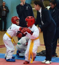 Foto de la galería: Taekwondo: los niños coparon el CePARD