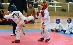 Foto de la galería: Taekwondo: los niños coparon el CePARD