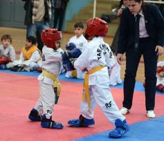 Foto de la galería: Taekwondo: los niños coparon el CePARD