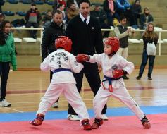 Foto de la galería: Taekwondo: los niños coparon el CePARD