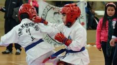 Foto de la galería: Taekwondo: los niños coparon el CePARD