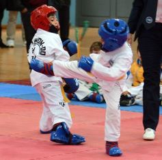Foto de la galería: Taekwondo: los niños coparon el CePARD