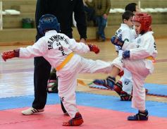 Foto de la galería: Taekwondo: los niños coparon el CePARD