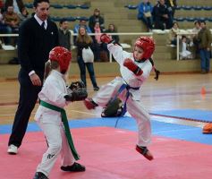 Foto de la galería: Taekwondo: los niños coparon el CePARD