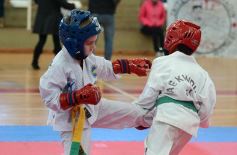 Foto de la galería: Taekwondo: los niños coparon el CePARD