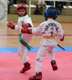 Foto de la galería: Taekwondo: los niños coparon el CePARD