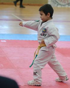 Foto de la galería: Taekwondo: los niños coparon el CePARD