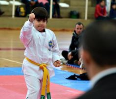 Foto de la galería: Taekwondo: los niños coparon el CePARD