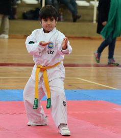 Foto de la galería: Taekwondo: los niños coparon el CePARD