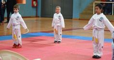 Foto de la galería: Taekwondo: los niños coparon el CePARD