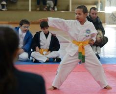 Foto de la galería: Taekwondo: los niños coparon el CePARD
