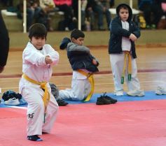 Foto de la galería: Taekwondo: los niños coparon el CePARD