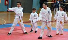Foto de la galería: Taekwondo: los niños coparon el CePARD
