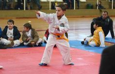 Foto de la galería: Taekwondo: los niños coparon el CePARD