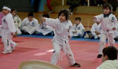 Foto de la galería: Taekwondo: los niños coparon el CePARD