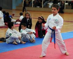 Foto de la galería: Taekwondo: los niños coparon el CePARD
