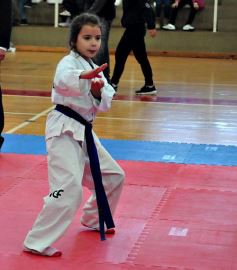 Foto de la galería: Taekwondo: los niños coparon el CePARD