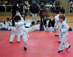 Foto de la galería: Taekwondo: los niños coparon el CePARD