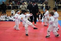 Foto de la galería: Taekwondo: los niños coparon el CePARD