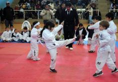 Foto de la galería: Taekwondo: los niños coparon el CePARD