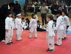 Foto de la galería: Taekwondo: los niños coparon el CePARD