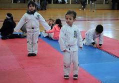 Foto de la galería: Taekwondo: los niños coparon el CePARD