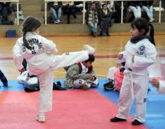 Foto de la galería: Taekwondo: los niños coparon el CePARD
