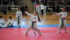 Foto de la galería: Taekwondo: los niños coparon el CePARD