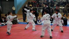 Foto de la galería: Taekwondo: los niños coparon el CePARD