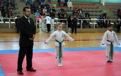 Foto de la galería: Taekwondo: los niños coparon el CePARD