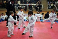 Foto de la galería: Taekwondo: los niños coparon el CePARD