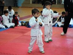 Foto de la galería: Taekwondo: los niños coparon el CePARD