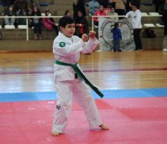 Foto de la galería: Taekwondo: los niños coparon el CePARD