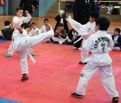 Foto de la galería: Taekwondo: los niños coparon el CePARD