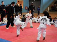 Foto de la galería: Taekwondo: los niños coparon el CePARD