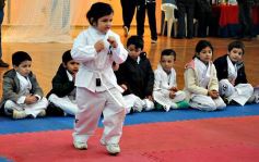 Foto de la galería: Taekwondo: los niños coparon el CePARD