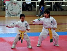 Foto de la galería: Taekwondo: los niños coparon el CePARD